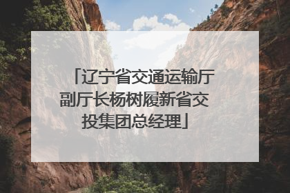 辽宁省交通运输厅副厅长杨树履新省交投集团总经理